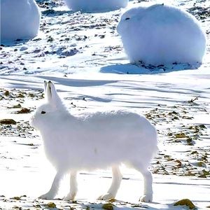 Meet your Posher, Rita